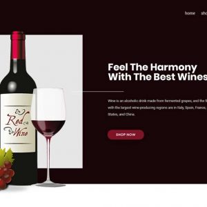 Wines Eccomerce Web Design